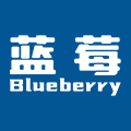 蓝莓旗舰店LOGO