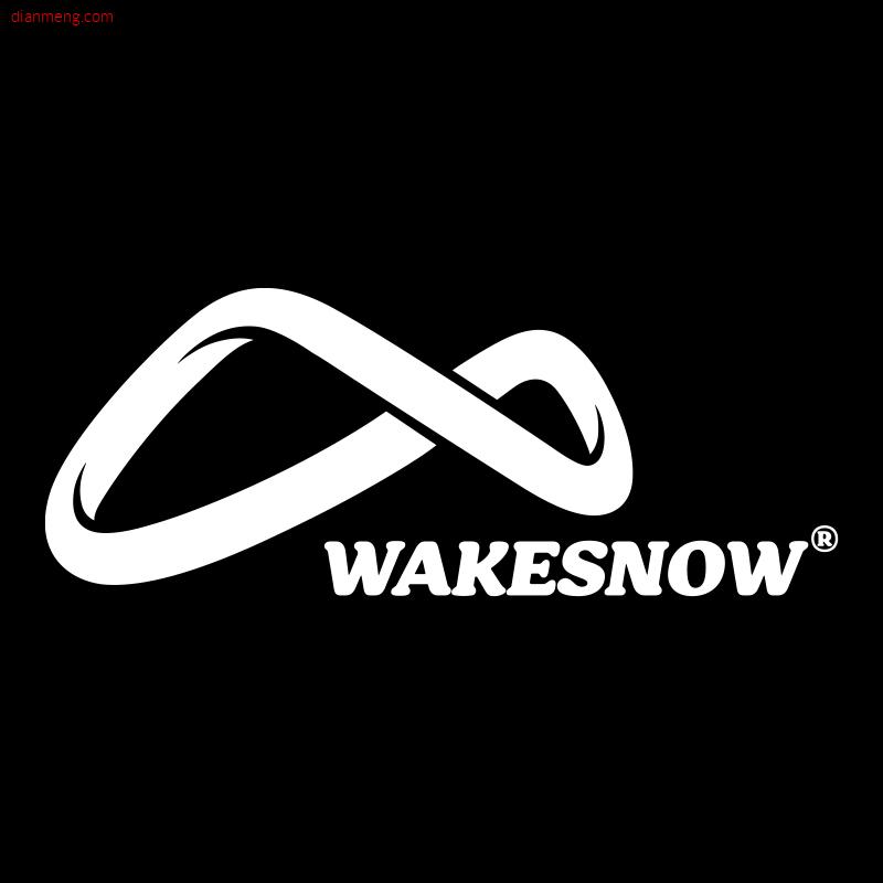 wakesnow滑雪品牌官方店LOGO