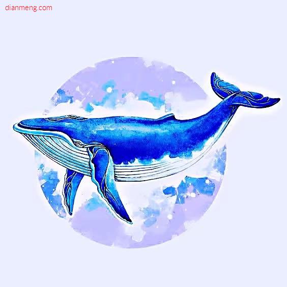 大鲸鱼高档盘扣LOGO
