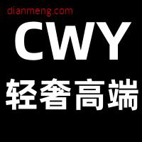 CWY轻奢高端女装LOGO