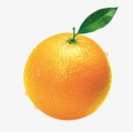 橙子学习屋LOGO