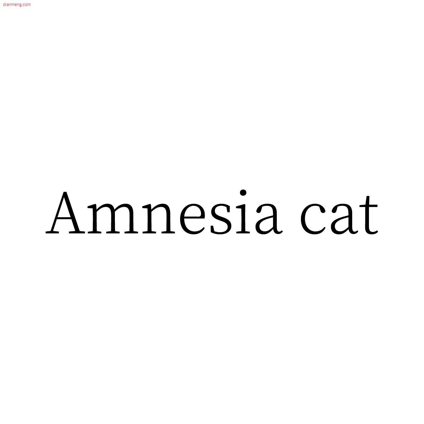 Amnesia cat失忆猫 优喆针织LOGO