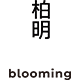 blooming旗舰店LOGO