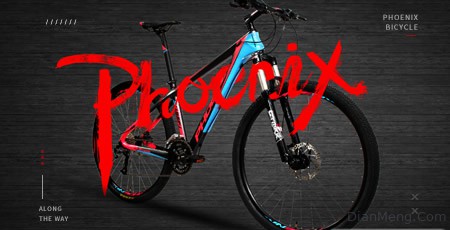 PHOENIX凤凰自行车